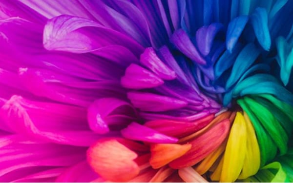 Color Science Fundamentals in Motion Imaging image