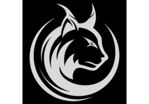 LYNXTechnik AG